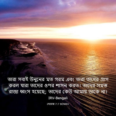 Picture 03 - হোচেয়া 7:7 BENIRV - তারা সবাই উনুনের - Bible Verse Picture