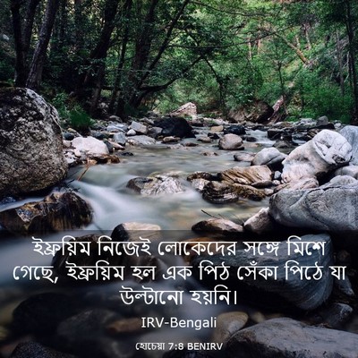Picture 03 - হোচেয়া 7:8 BENIRV - ইফ্রয়িম নিজেই - Bible Verse Picture