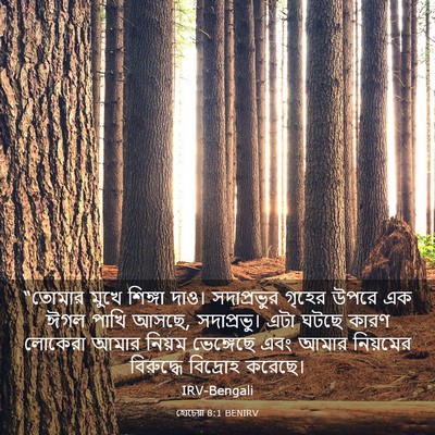 Picture 03 - হোচেয়া 8:1 BENIRV - “তোমার মুখে - Bible Verse Picture