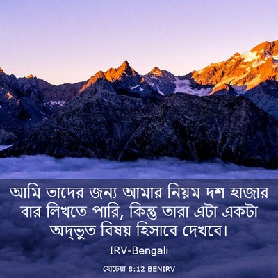 Picture 03 - হোচেয়া 8:12 BENIRV - আমি তাদের জন্য - Bible Verse Picture