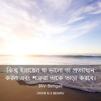 Picture 03 - হোচেয়া 8:3 BENIRV - কিন্তু ইস্রায়েল - Bible Verse Picture