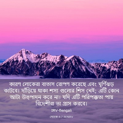 Picture 03 - হোচেয়া 8:7 BENIRV - কারণ লোকেরা বাতাস - Bible Verse Picture