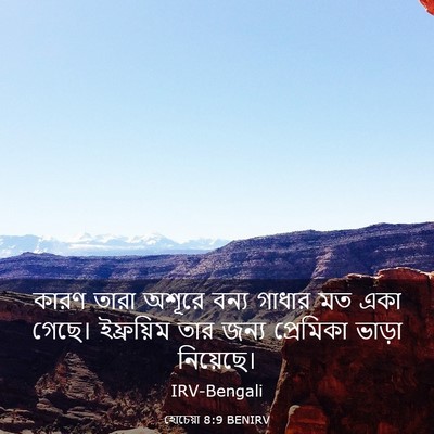 Picture 03 - হোচেয়া 8:9 BENIRV - কারণ তারা অশূরে - Bible Verse Picture