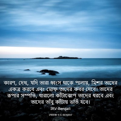 Picture 03 - হোচেয়া 9:6 BENIRV - কারণ, দেখ, যদি তারা - Bible Verse Picture