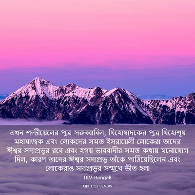 Picture 03 - হ্গ্গয় 1:12 BENIRV - তখন শল্টীয়েলের - Bible Verse Picture