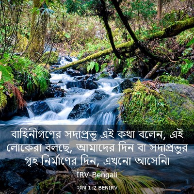 Picture 03 - হ্গ্গয় 1:2 BENIRV - বাহিনীগণের - Bible Verse Picture