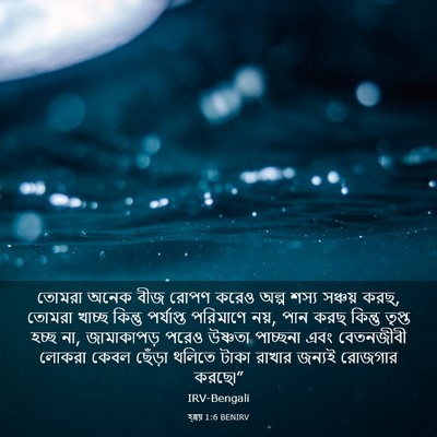 Picture 03 - হ্গ্গয় 1:6 BENIRV - তোমরা অনেক বীজ - Bible Verse Picture