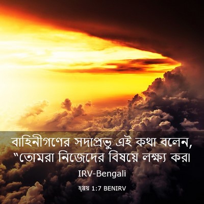 Picture 03 - হ্গ্গয় 1:7 BENIRV - বাহিনীগণের - Bible Verse Picture
