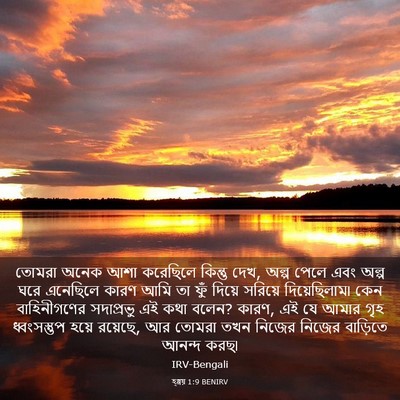 Picture 03 - হ্গ্গয় 1:9 BENIRV - তোমরা অনেক আশা - Bible Verse Picture