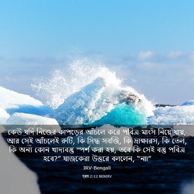 Picture 03 - হ্গ্গয় 2:12 BENIRV - কেউ যদি নিজের - Bible Verse Picture