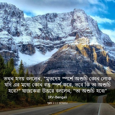 Picture 03 - হ্গ্গয় 2:13 BENIRV - তখন হগয় বললেন, - Bible Verse Picture