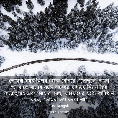 Picture 03 - হ্গ্গয় 2:5 BENIRV - তোমরা যখন মিশর - Bible Verse Picture