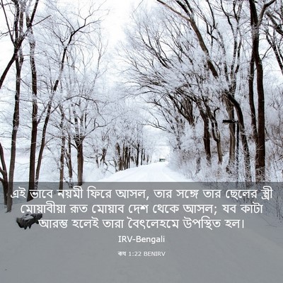Picture 03 - ৰূথ 1:22 BENIRV - এই ভাবে নয়মী ফিরে - Bible Verse Picture