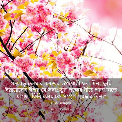 Picture 03 - ৰূথ 2:12 BENIRV - সদাপ্রভু তোমার - Bible Verse Picture