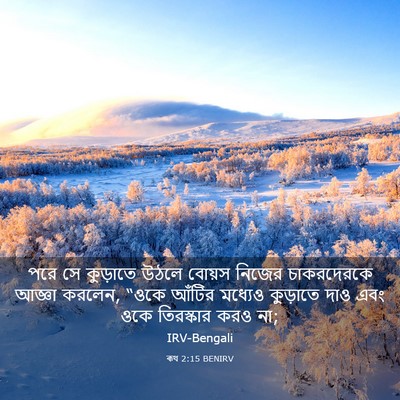 Picture 03 - ৰূথ 2:15 BENIRV - পরে সে কুড়াতে - Bible Verse Picture
