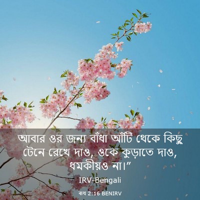 Picture 03 - ৰূথ 2:16 BENIRV - আবার ওর জন্য বাঁধা - Bible Verse Picture