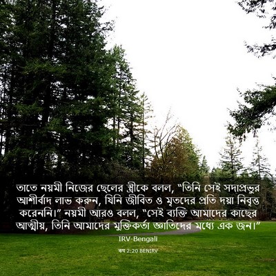 Picture 03 - ৰূথ 2:20 BENIRV - তাতে নয়মী নিজের - Bible Verse Picture