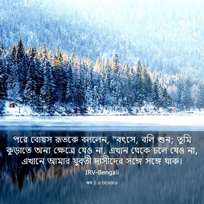Picture 03 - ৰূথ 2:8 BENIRV - পরে বোয়স রূতকে - Bible Verse Picture
