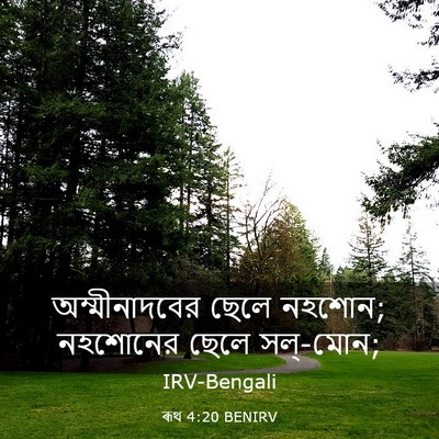 Picture 03 - ৰূথ 4:20 BENIRV - অম্মীনাদবের ছেলে - Bible Verse Picture