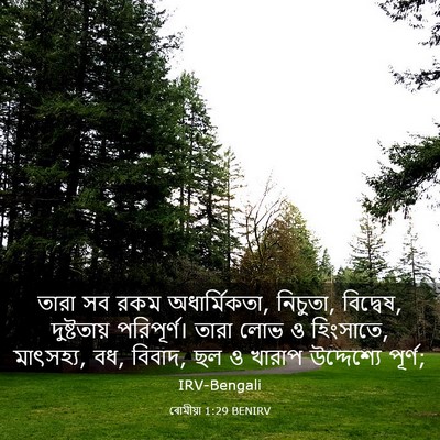 Picture 03 - ৰোমীয়া 1:29 BENIRV - তারা সব রকম - Bible Verse Picture
