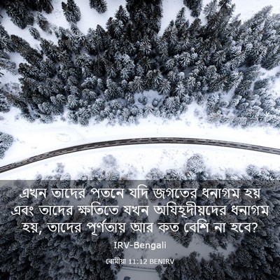 Picture 03 - ৰোমীয়া 11:12 BENIRV - এখন তাদের পতনে যদি - Bible Verse Picture