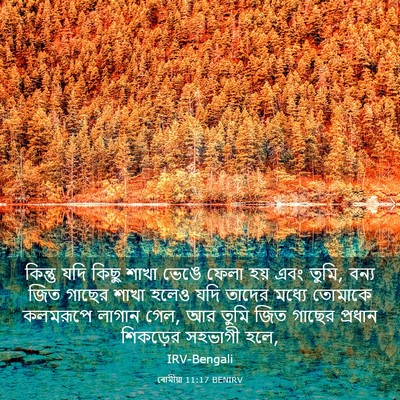 Picture 03 - ৰোমীয়া 11:17 BENIRV - কিন্তু যদি কিছু - Bible Verse Picture