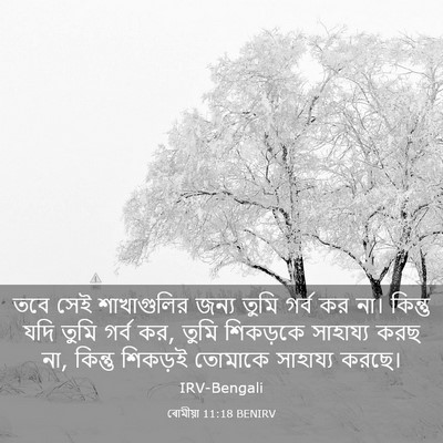 Picture 03 - ৰোমীয়া 11:18 BENIRV - তবে সেই শাখাগুলির - Bible Verse Picture