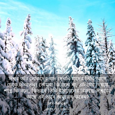 Picture 03 - ৰোমীয়া 11:2 BENIRV - ঈশ্বর তাঁর লোকদের - Bible Verse Picture