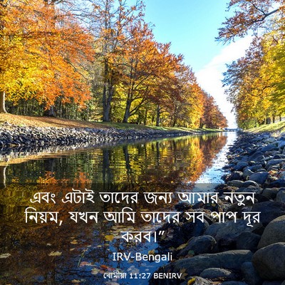 Picture 03 - ৰোমীয়া 11:27 BENIRV - এবং এটাই তাদের - Bible Verse Picture