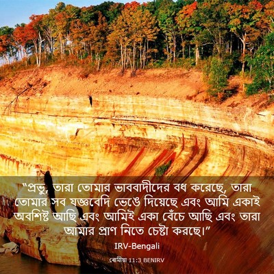 Picture 03 - ৰোমীয়া 11:3 BENIRV - “প্রভু, তারা তোমার - Bible Verse Picture