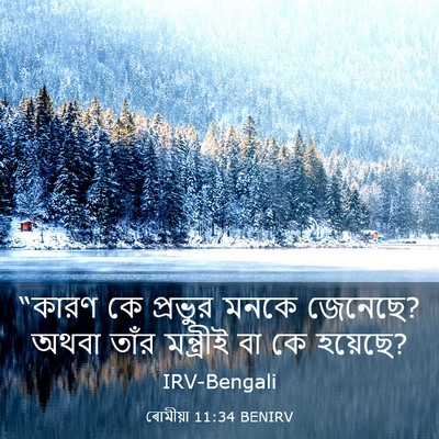 Picture 03 - ৰোমীয়া 11:34 BENIRV - “কারণ কে প্রভুর - Bible Verse Picture