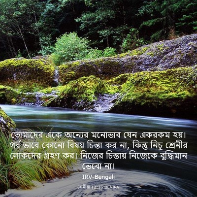 Picture 03 - ৰোমীয়া 12:16 BENIRV - তোমাদের একে - Bible Verse Picture