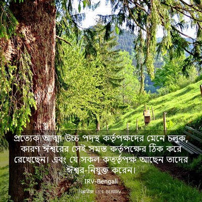 Picture 03 - ৰোমীয়া 13:1 BENIRV - প্রত্যেক আত্মা - Bible Verse Picture