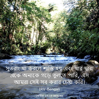 Picture 03 - ৰোমীয়া 14:19 BENIRV - সুতরাং যা করলে - Bible Verse Picture