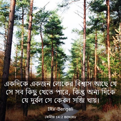 Picture 03 - ৰোমীয়া 14:2 BENIRV - একদিকে একজন লোকের - Bible Verse Picture