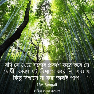 Picture 03 - ৰোমীয়া 14:23 BENIRV - যদি সে খেয়ে - Bible Verse Picture