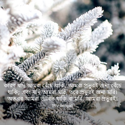 Picture 03 - ৰোমীয়া 14:8 BENIRV - কারণ যদি আমরা - Bible Verse Picture