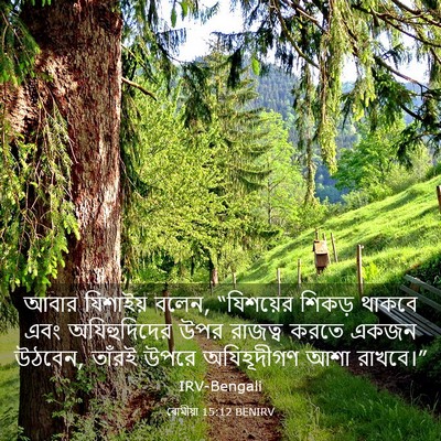 Picture 03 - ৰোমীয়া 15:12 BENIRV - আবার যিশাইয় বলেন, - Bible Verse Picture