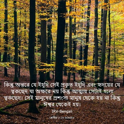 Picture 03 - ৰোমীয়া 2:29 BENIRV - কিন্তু অন্তরে যে - Bible Verse Picture
