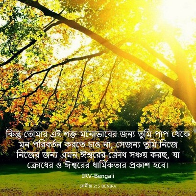 Picture 03 - ৰোমীয়া 2:5 BENIRV - কিন্তু তোমার এই - Bible Verse Picture