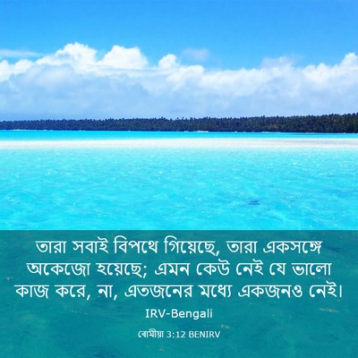 Picture 03 - ৰোমীয়া 3:12 BENIRV - তারা সবাই বিপথে - Bible Verse Picture