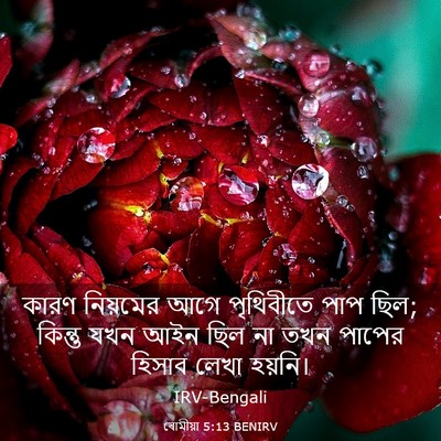Picture 03 - ৰোমীয়া 5:13 BENIRV - কারণ নিয়মের আগে - Bible Verse Picture