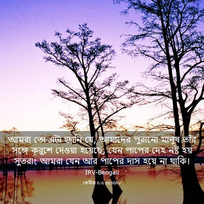 Picture 03 - ৰোমীয়া 6:6 BENIRV - আমরা তো এটা জানি - Bible Verse Picture