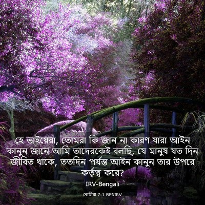 Picture 03 - ৰোমীয়া 7:1 BENIRV - হে ভাইয়েরা, তোমরা - Bible Verse Picture