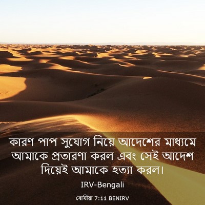 Picture 03 - ৰোমীয়া 7:11 BENIRV - কারণ পাপ সুযোগ - Bible Verse Picture