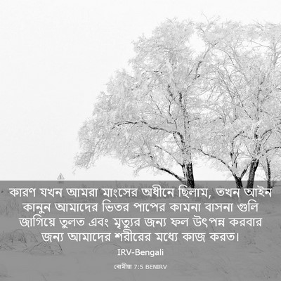 Picture 03 - ৰোমীয়া 7:5 BENIRV - কারণ যখন আমরা - Bible Verse Picture
