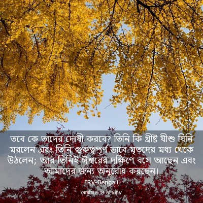 Picture 03 - ৰোমীয়া 8:34 BENIRV - তবে কে তাদের দোষী - Bible Verse Picture
