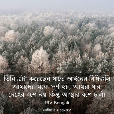 Picture 03 - ৰোমীয়া 8:4 BENIRV - তিনি এটা করেছেন - Bible Verse Picture