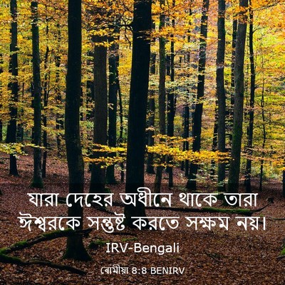 Picture 03 - ৰোমীয়া 8:8 BENIRV - যারা দেহের অধীনে - Bible Verse Picture