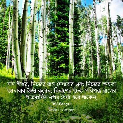 Picture 03 - ৰোমীয়া 9:22 BENIRV - যদি ঈশ্বর, নিজের - Bible Verse Picture
